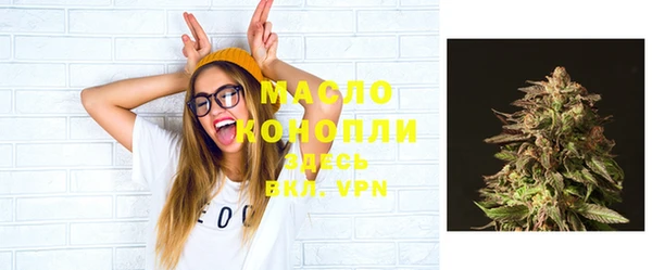 хмурый Инта