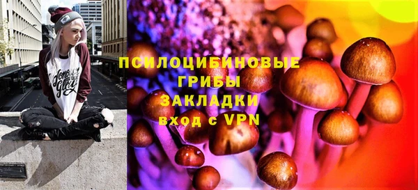 хмурый Инта
