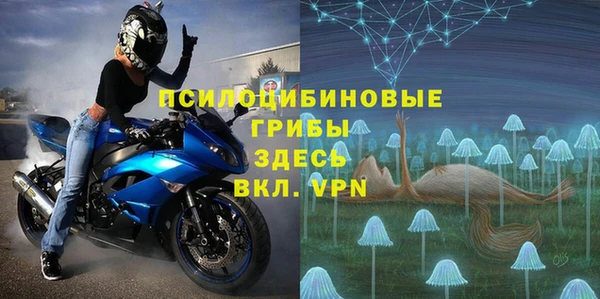 хмурый Инта