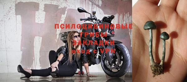 mdpv Иннополис
