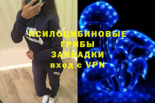 хмурый Инта