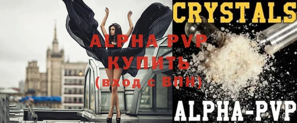 хмурый Инта