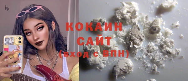 дурь Инсар
