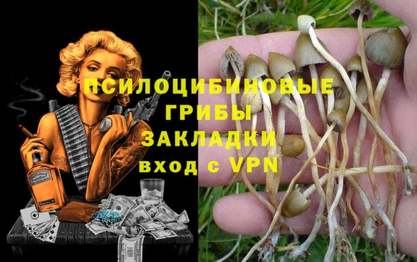кокаин перу Каменка