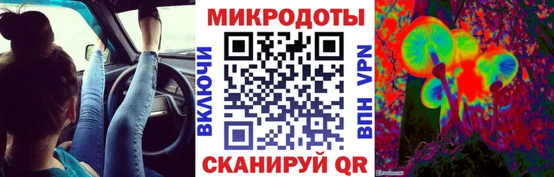 Купить где  Кинель  Галлюциногенные грибы Psilocybe 