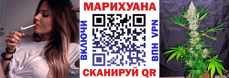 Марихуана сатива Кинель